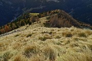 95 Giu su traccia per erba secca scivolosa